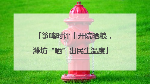 筝鸣时评丨开院晒粮，潍坊“晒”出民生温度