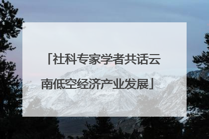 社科专家学者共话云南低空经济产业发展