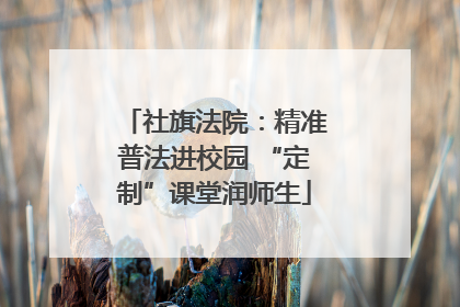 社旗法院：精准普法进校园 “定制”课堂润师生