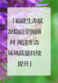 福建生态状况稳居全国前列 海洋生态环境质量持续提升