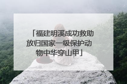 福建明溪成功救助放归国家一级保护动物中华穿山甲