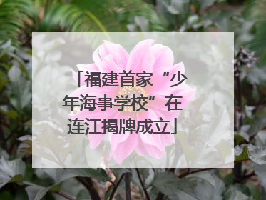 福建首家“少年海事学校”在连江揭牌成立