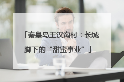 秦皇岛王汉沟村：长城脚下的“甜蜜事业”