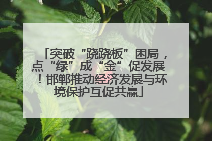 突破“跷跷板”困局，点“绿”成“金”促发展！邯郸推动经济发展与环境保护互促共赢