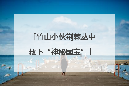 竹山小伙荆棘丛中救下“神秘国宝”
