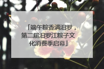 端午粽香满汨罗，第二届汨罗江粽子文化消费季启幕
