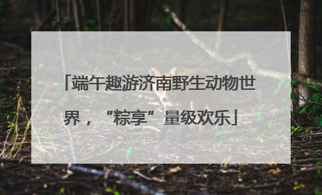 端午趣游济南野生动物世界，“粽享”量级欢乐