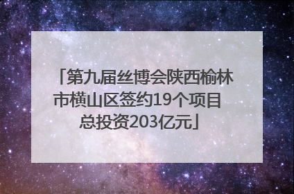 第九届丝博会陕西榆林市横山区签约19个项目 总投资203亿元