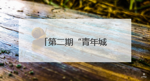 第二期“青年城市体验官”悠游兰州活动举办