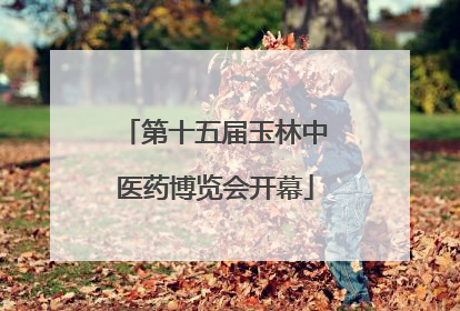 第十五届玉林中医药博览会开幕