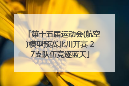第十五届运动会(航空)模型预赛北川开赛 27支队伍竞逐蓝天