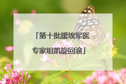 第十批援埃军医专家组凯旋回渝