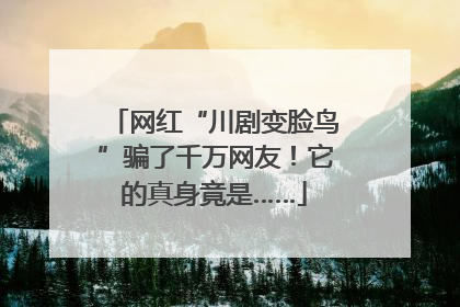 网红“川剧变脸鸟”骗了千万网友！它的真身竟是……