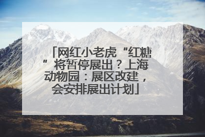 网红小老虎“红糖”将暂停展出？上海动物园：展区改建，会安排展出计划