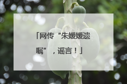 网传“朱媛媛遗嘱”，谣言！