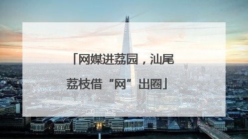 网媒进荔园，汕尾荔枝借“网”出圈
