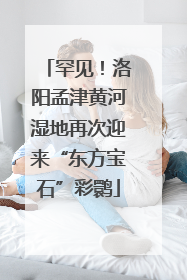 罕见！洛阳孟津黄河湿地再次迎来“东方宝石”彩鹮
