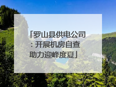 罗山县供电公司：开展机房自查 助力迎峰度夏