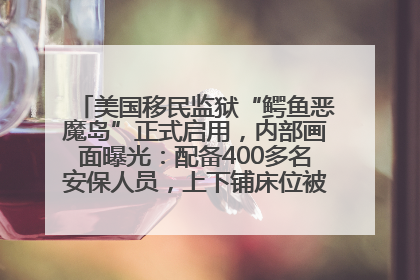 美国移民监狱“鳄鱼恶魔岛”正式启用，内部画面曝光：配备400多名安保人员，上下铺床位被罩在铁丝网里