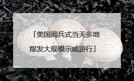 美国阅兵式当天多地爆发大规模示威游行