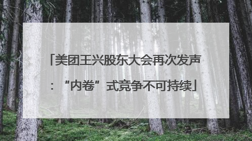 美团王兴股东大会再次发声：“内卷”式竞争不可持续