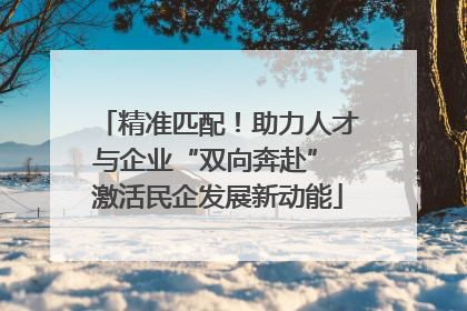 精准匹配！助力人才与企业“双向奔赴” 激活民企发展新动能