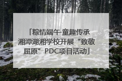 粽情端午·童趣传承 湘潭湖湘学校开展“致敬屈原”PDC项目活动