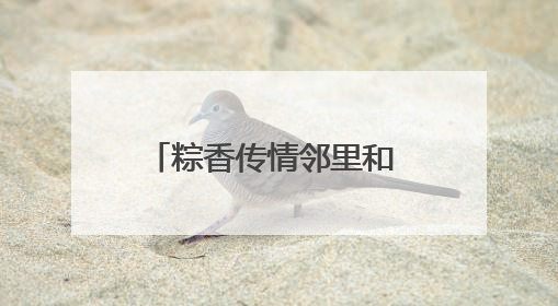 粽香传情邻里和 文明实践暖端午
