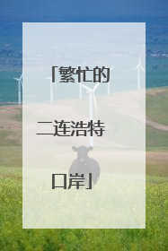 繁忙的二连浩特口岸