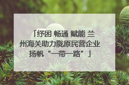 纾困 畅通 赋能 兰州海关助力陇原民营企业扬帆“一带一路”
