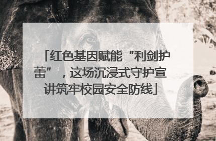 红色基因赋能“利剑护蕾”，这场沉浸式守护宣讲筑牢校园安全防线