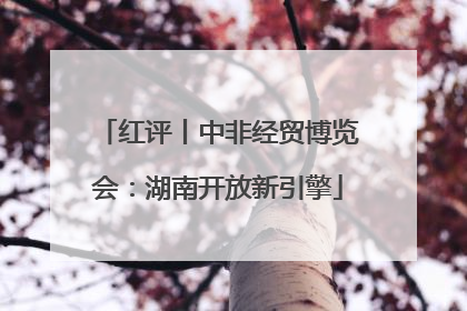 红评丨中非经贸博览会：湖南开放新引擎