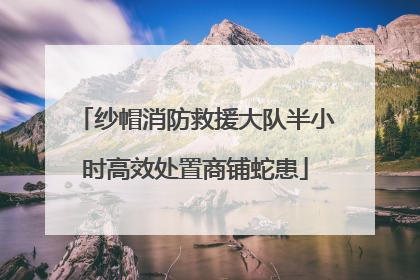 纱帽消防救援大队半小时高效处置商铺蛇患