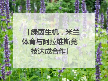 绿茵生机，米兰体育与阿拉维斯竞技达成合作