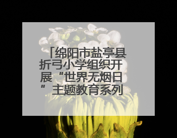 绵阳市盐亭县折弓小学组织开展“世界无烟日”主题教育系列活动