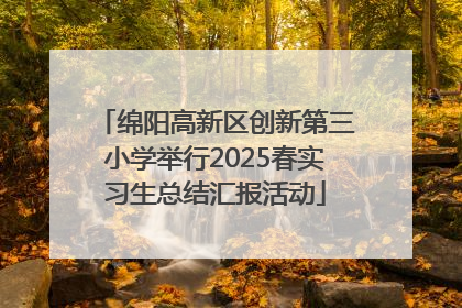 绵阳高新区创新第三小学举行2025春实习生总结汇报活动