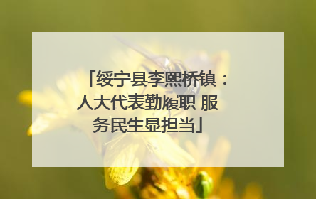 绥宁县李熙桥镇：人大代表勤履职 服务民生显担当