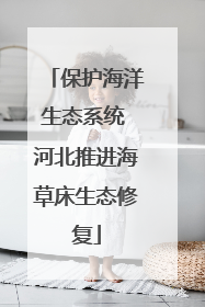 保护海洋生态系统 河北推进海草床生态修复