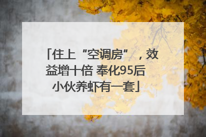 住上“空调房”，效益增十倍 奉化95后小伙养虾有一套