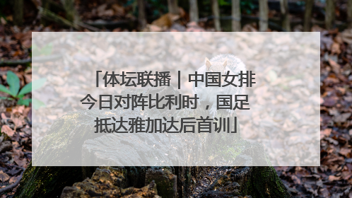 体坛联播｜中国女排今日对阵比利时，国足抵达雅加达后首训