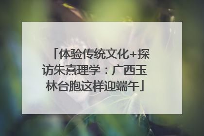 体验传统文化+探访朱熹理学：广西玉林台胞这样迎端午