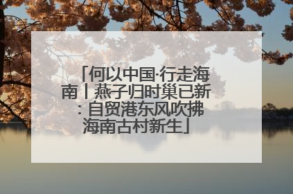 何以中国·行走海南丨燕子归时巢已新：自贸港东风吹拂 海南古村新生