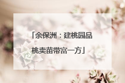 余保洲：建桃园品桃卖苗带富一方