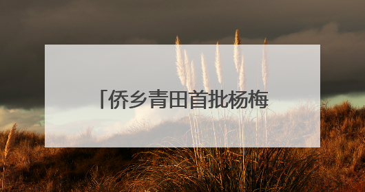 侨乡青田首批杨梅启程新加坡 保鲜提质售出“金果果”