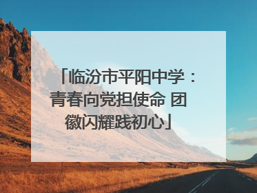 临汾市平阳中学：青春向党担使命 团徽闪耀践初心