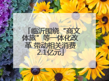 临沂围绕“商文体旅”等一体化改革 带动相关消费2.1亿元