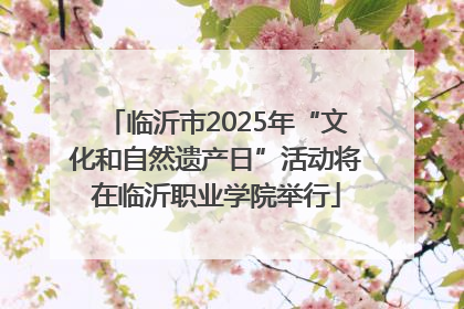 临沂市2025年“文化和自然遗产日”活动将在临沂职业学院举行
