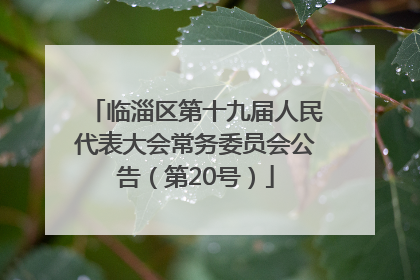 临淄区第十九届人民代表大会常务委员会公告（第20号）