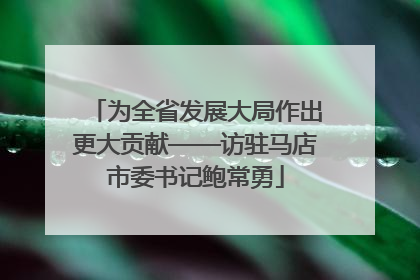 为全省发展大局作出更大贡献——访驻马店市委书记鲍常勇