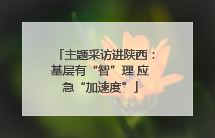主题采访进陕西：基层有“智”理 应急“加速度”
